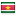 The flag of Suriname